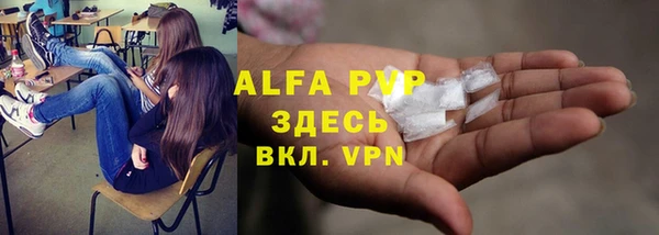 бошки Белокуриха