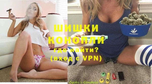 бошки Белокуриха