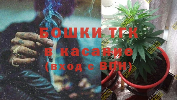 бошки Белокуриха