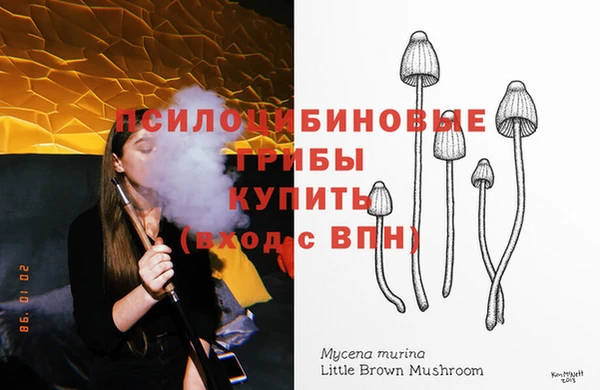 бошки Белокуриха