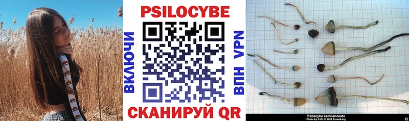 Псилоцибиновые грибы мицелий  Пикалёво 